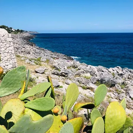 Casetta A 2 Passi Dal Mare *